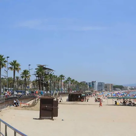 Promar Playa 255